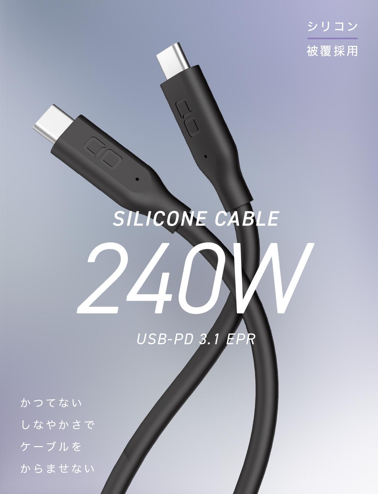 CIO 240W CtoC 1m